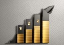 Understanding Why Does Pet Insurance Go Up – Insights and Explanations